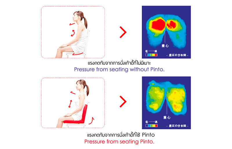 Pinto เบาะรองนั่งเพื่อสุขภาพ เปรียบเทียบแรงกดทับจากการนั่งเก้าอี้ที่ใช้ Pinto และเก้าอี้ที่ไม่มีเบาะ