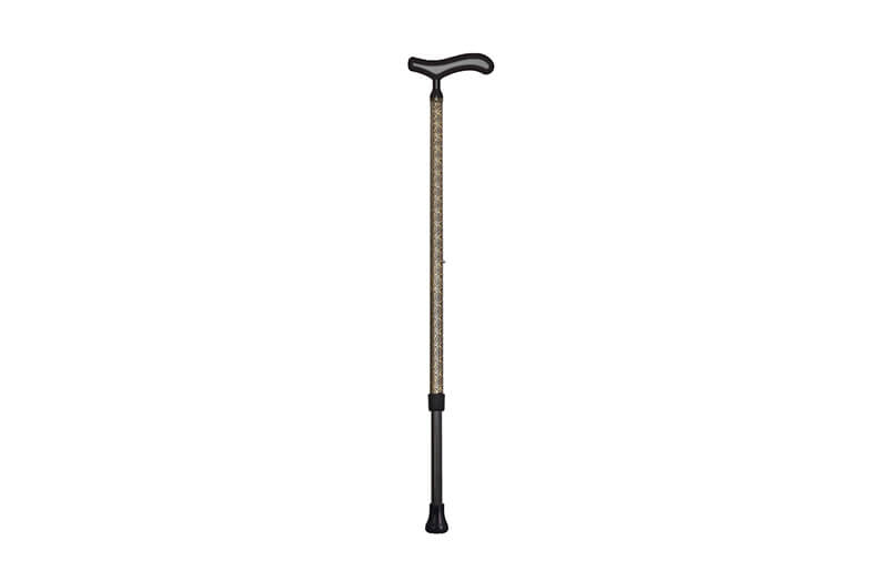 Carbon Cane