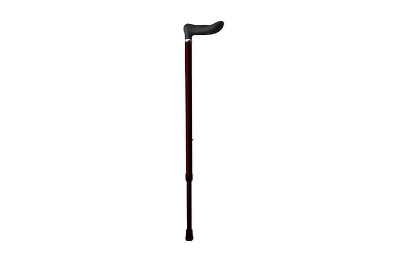 Carbon Cane